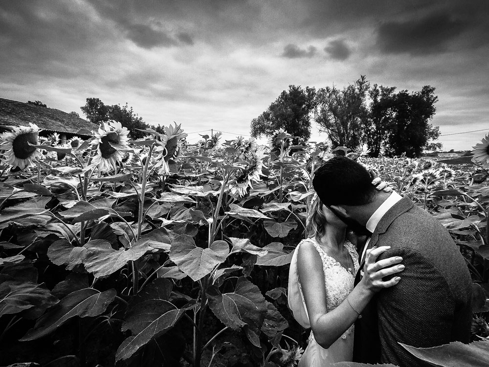 photo mariage dans champ de tournesols