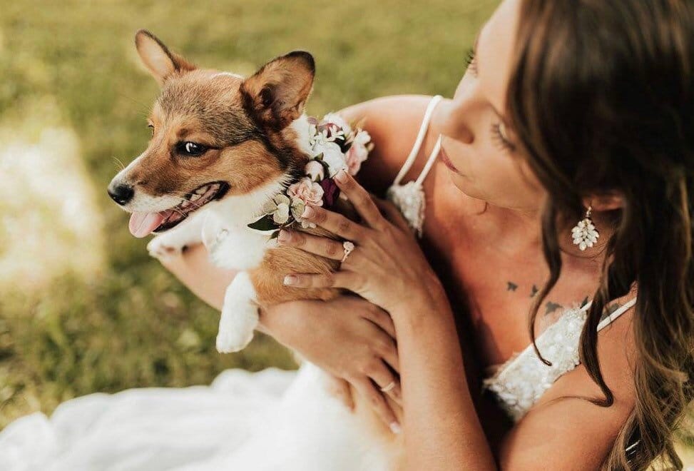 collier-chien-fleurs-mariage-2