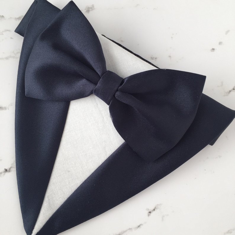 costume smoking de mariage chien 4