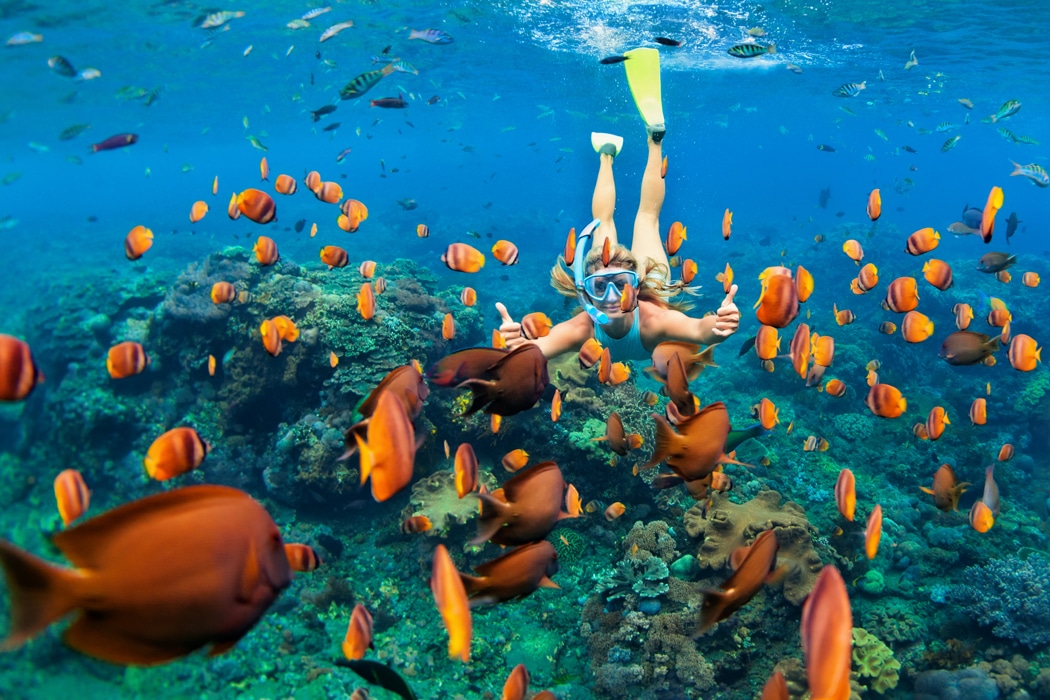 lune de miel maldives 2