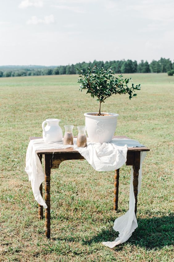 rituel-de-l-arbre