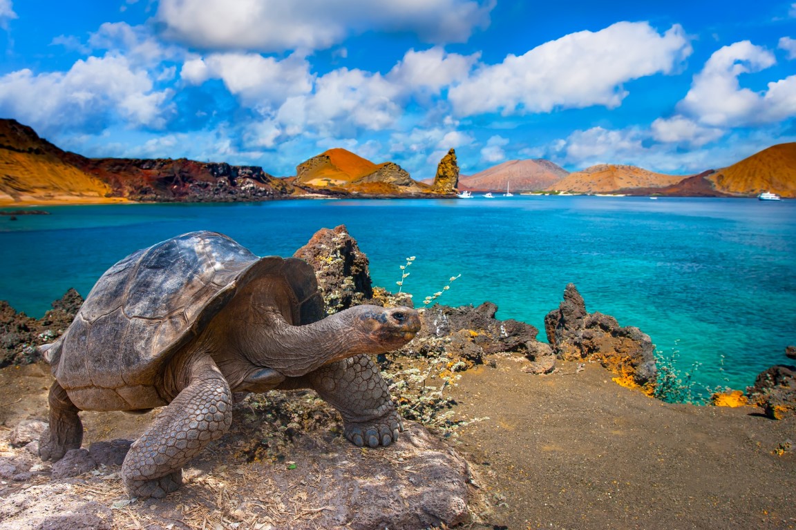 îles Galápagos