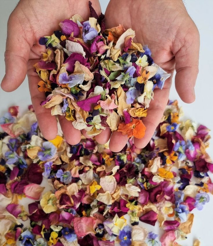 Chemin de pétales de fleurs sauvages